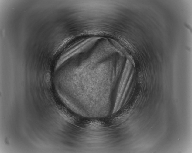 X0000096680256200802191359