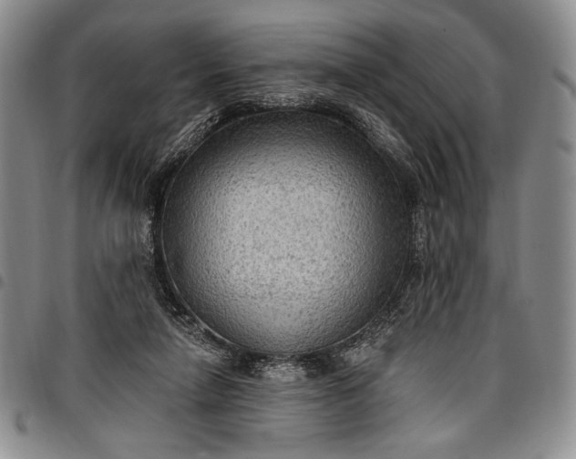X0000096680258200802191359