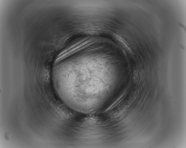 X0000096680259200802191359
