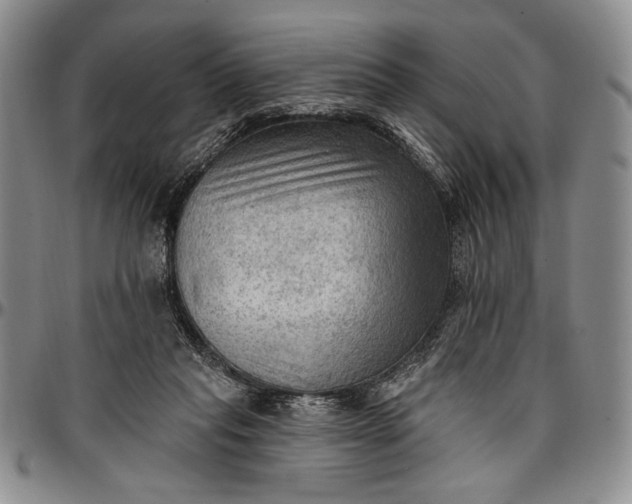 X0000096680261200802191359