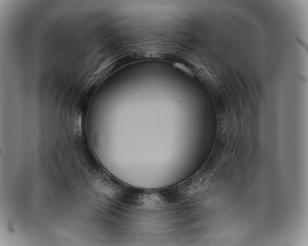 X0000096680262200802191359