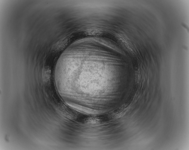 X0000096680263200802191359