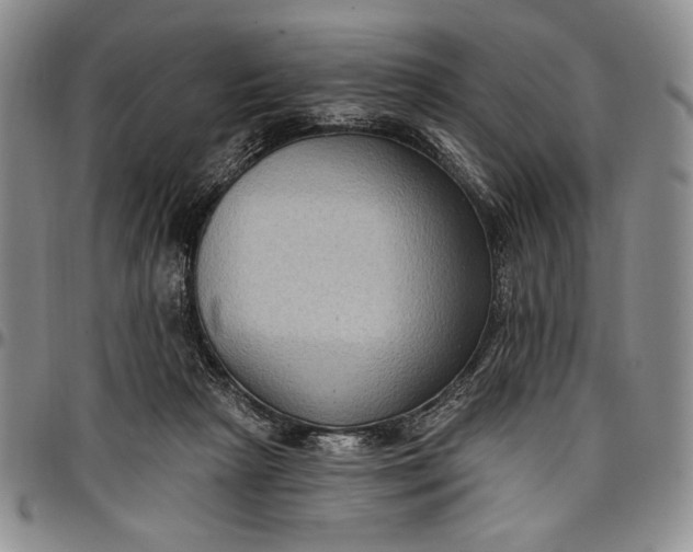 X0000096680265200802191359