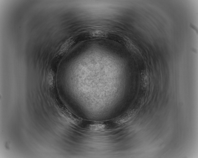X0000096680266200802191359