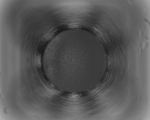 X0000096680267200802191359
