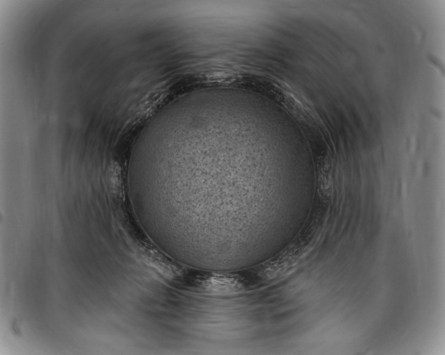 X0000096680270200802191359