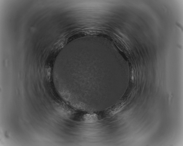 X0000096680271200802191359