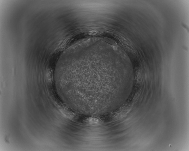 X0000096680272200802191359