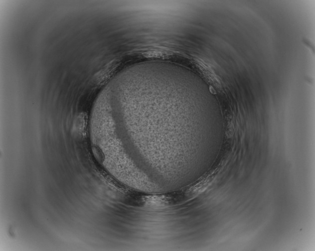 X0000096680273200802191359