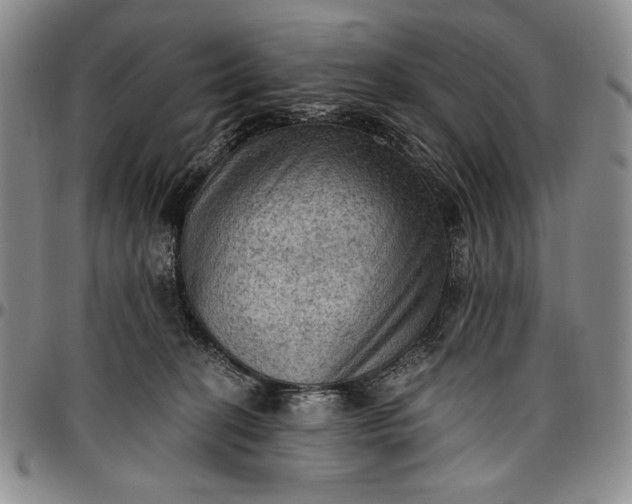 X0000096680274200802191359