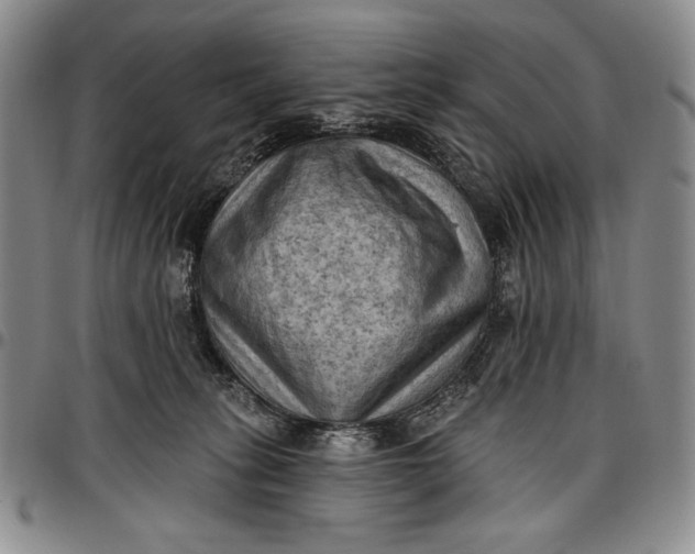 X0000096680275200802191359