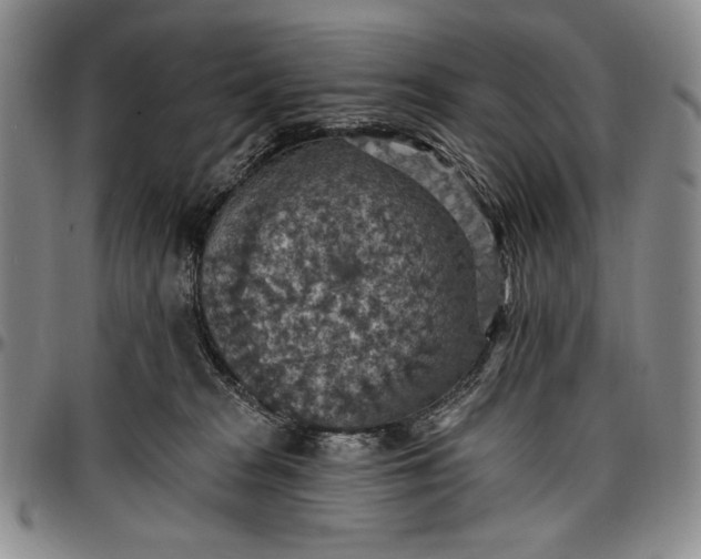 X0000096680277200802191359