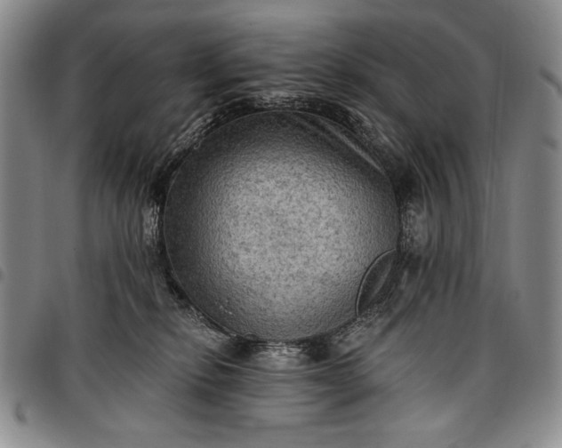 X0000096680278200802191359