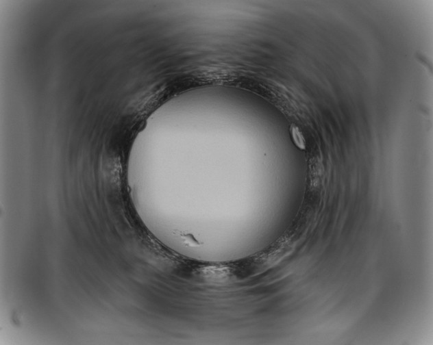 X0000096680279200802191359