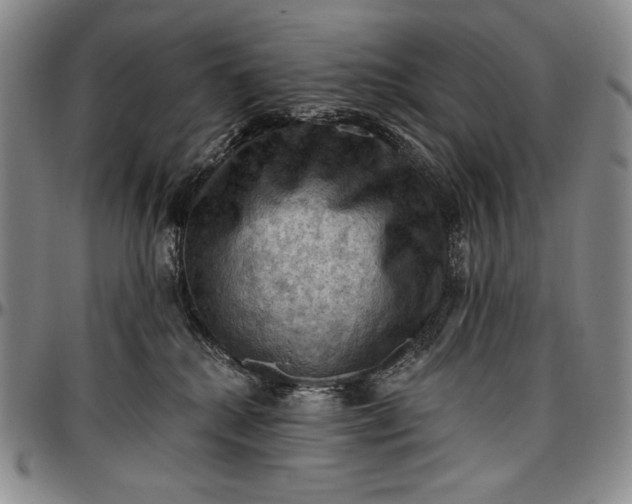 X0000096680280200802191359