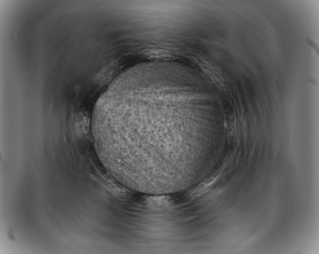 X0000096680281200802191359
