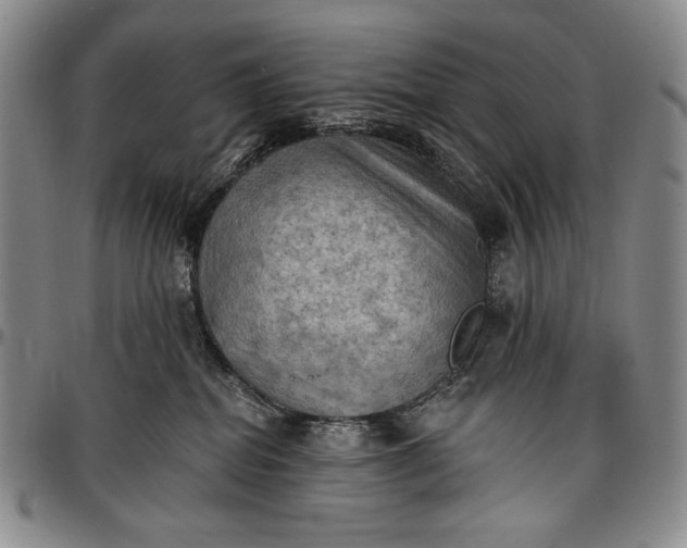X0000096680282200802191359