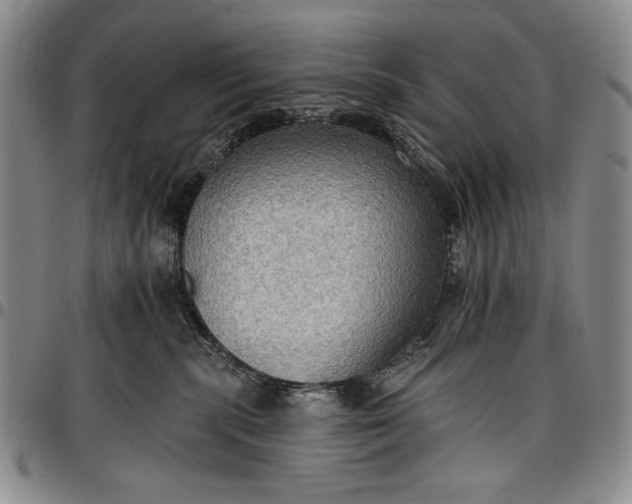 X0000096680283200802191359