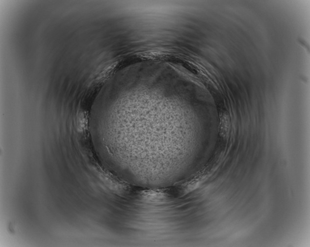 X0000096680284200802191359