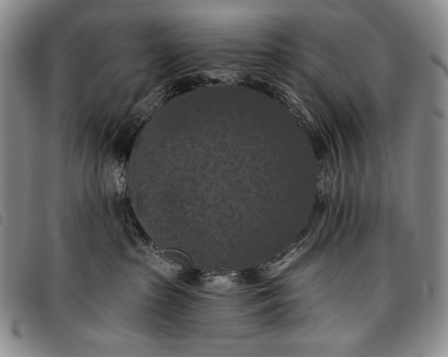 X0000096680285200802191359