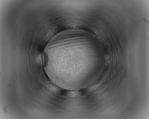 X0000096680286200802191359
