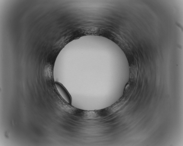 X0000096680287200802191359