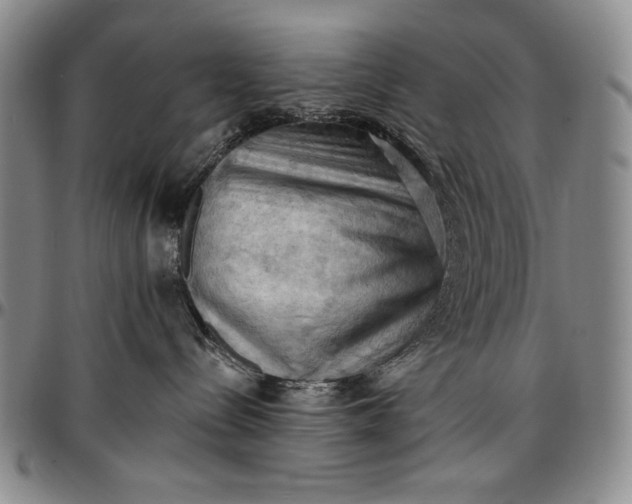 X0000096680288200802191359
