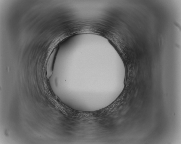 X0000096680289200802191358