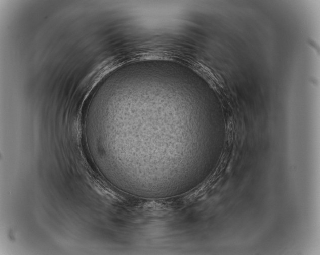 X0000096680290200802191358