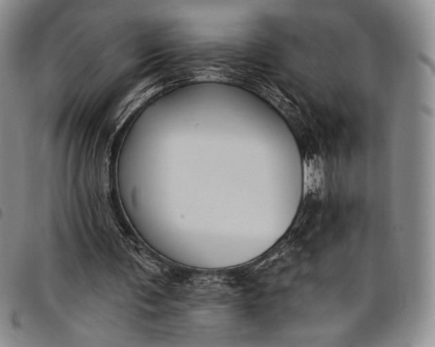 X0000096680291200802191358
