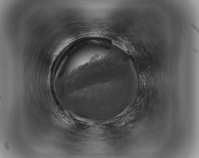 X0000096680292200802191358
