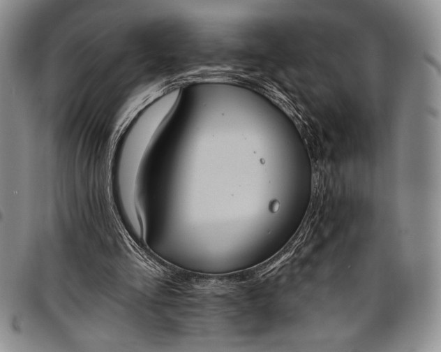 X0000096680293200802191358