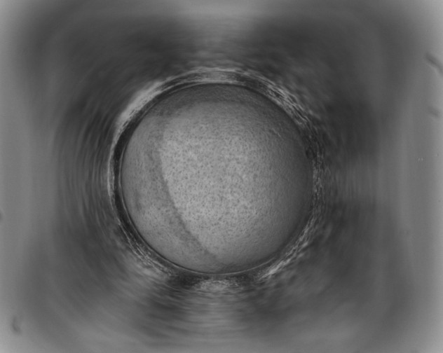 X0000096680294200802191358