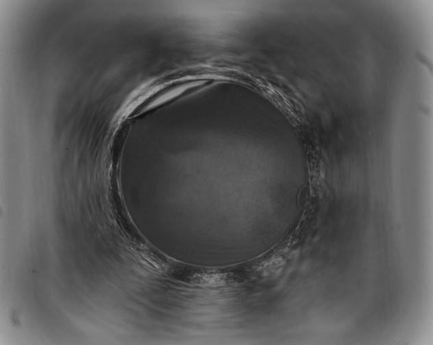 X0000096680295200802191358