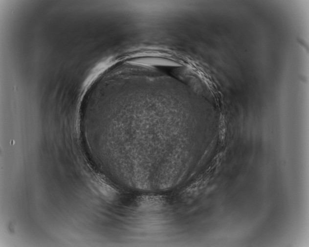 X0000096680296200802191358