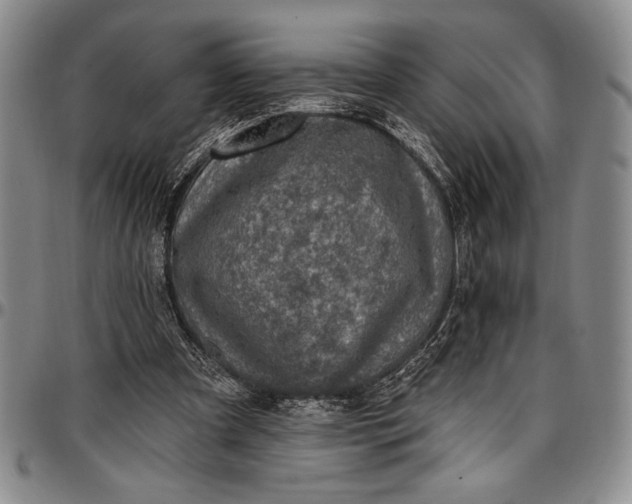 X0000096680297200802191358