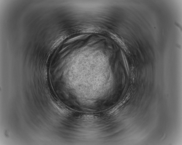 X0000096680298200802191358