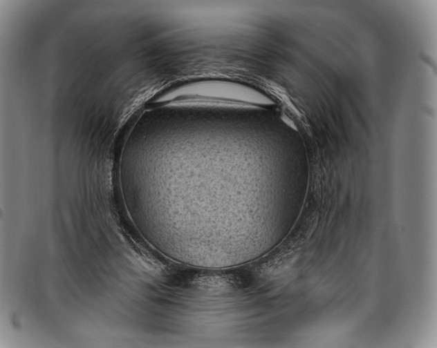 X0000096680299200802191358