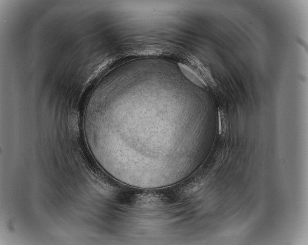 X0000096680300200802191358