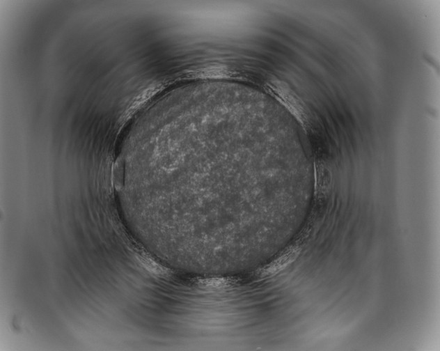 X0000096680301200802191358