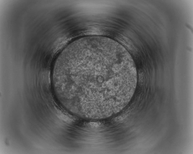 X0000096680302200802191358