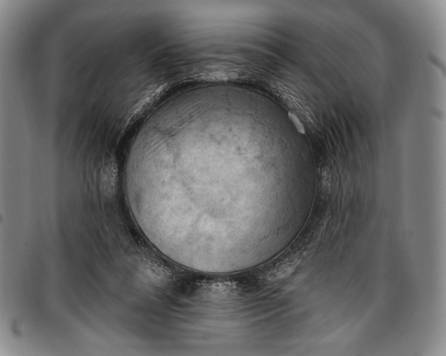 X0000096680304200802191358