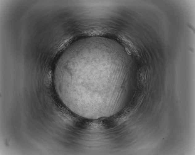 X0000096680308200802191358