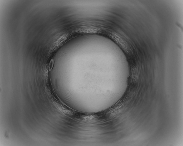 X0000096680309200802191358