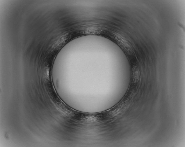 X0000096680310200802191358