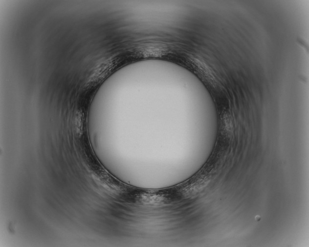 X0000096680311200802191358