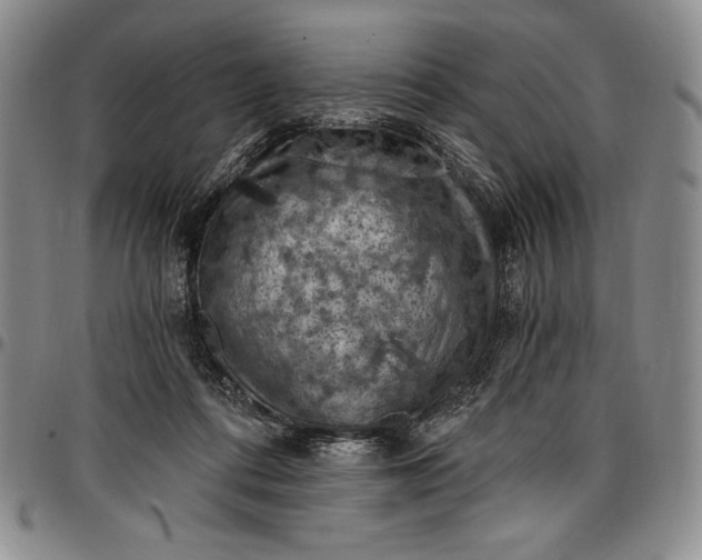 X0000096680312200802191358
