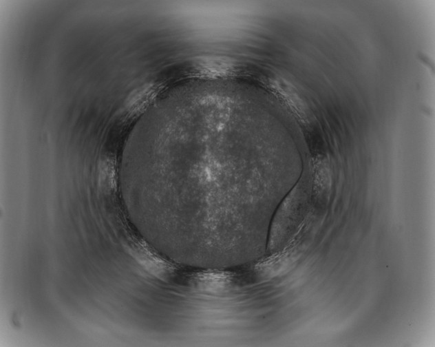 X0000096680313200802191358