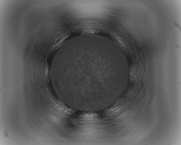 X0000096680314200802191358