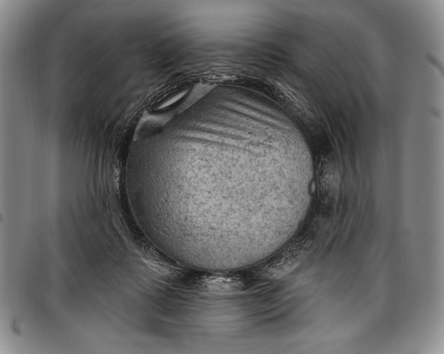X0000096680315200802191358